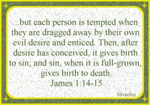 (185)James 1-14-15